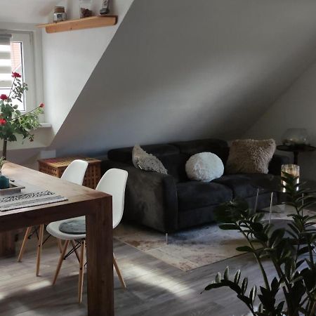 Gemuetliche 5Pers Ferienwohnung "Am Steinbach" Naehe Nuernberg Ruhig Und Gute Anbindung Burgthann Экстерьер фото